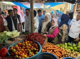 Harga Cabai Rawit di Makassar Capai Rp85.000, TPID Sulsel Pantau Pasokan dan Distribusi